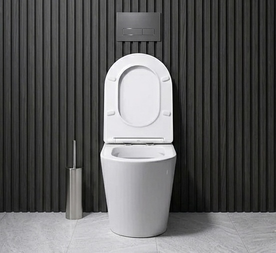 Toilet Pan Replacement in St Neots